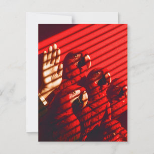 Rode papegaaien en een hand briefkaart