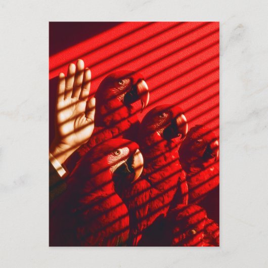 Rode papegaaien en een hand briefkaart (Voorkant)