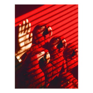 Rode papegaaien en een hand foto afdruk