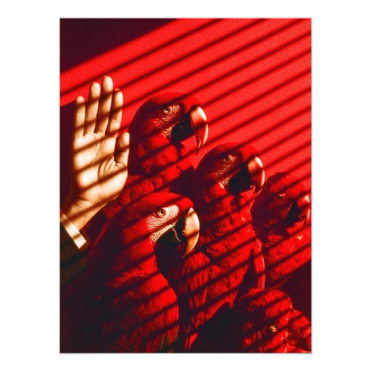 Rode papegaaien en een hand foto afdruk (Voorkant)