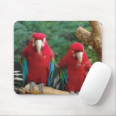 Rode papegaaien muismat (Met muis)