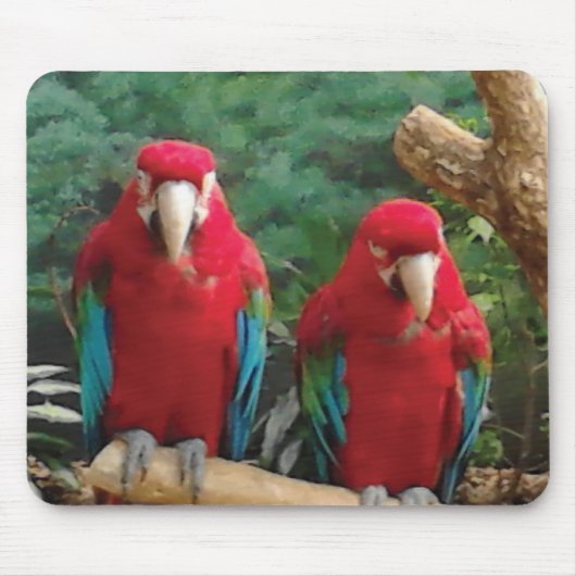 Rode papegaaien muismat (Voorkant)
