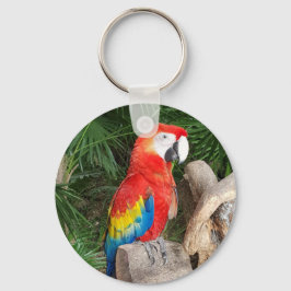 Rode papegaaien sleutelhanger