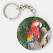 Rode papegaaien sleutelhanger (Voorkant)