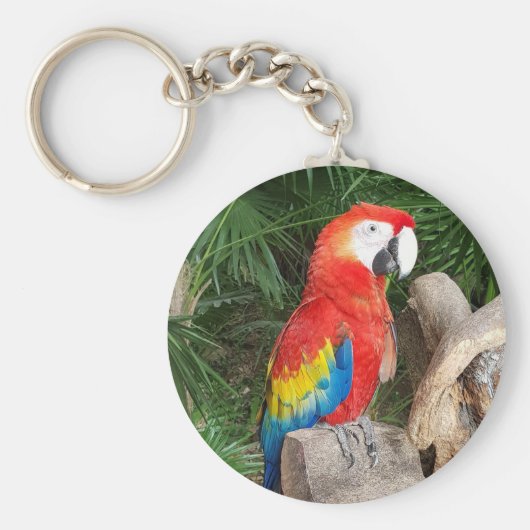 Rode papegaaien sleutelhanger (Voorkant)
