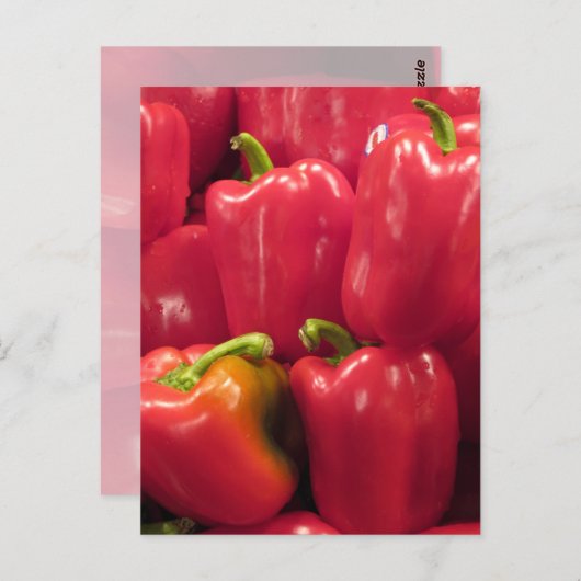 Rode paprika's... briefkaart (Voorkant / Achterkant)