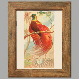 Rode paradijsvogel, Galerij Muurset van 6, 1/6 Poster
