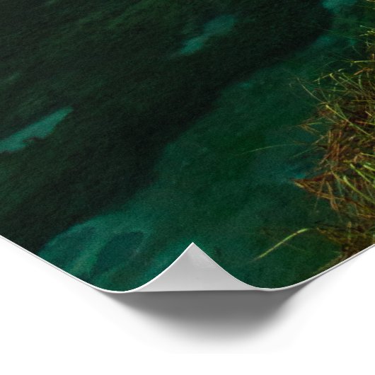 Rode paraplu-groen meer poster (Hoek)