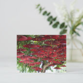 Rode paraplu's in de lucht - Aziatische ansichtkaa Briefkaart (Staand voorkant)