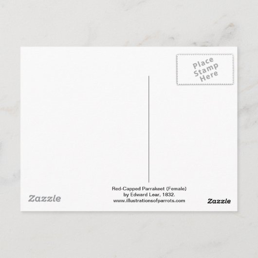 Rode Parrakeet (Vrouw) door Edward Lear Briefkaart (Achterkant)