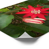 Rode passie poster (Hoek)