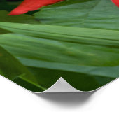 Rode passie-ventilator in het volste blok poster (Hoek)