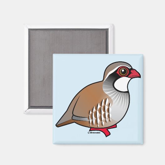 Rode patrijs magneet (Voorkant / Achterkant)