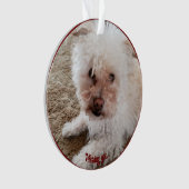 Rode Pawprint Gevulde Hart Vorm, Huisdier Citaat,  Ornament (voorkant)