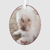 Rode Pawprint Gevulde Hart Vorm, Huisdier Citaat,  Ornament (voorkant)