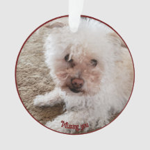 Rode Pawprint Gevulde Hart Vorm, Huisdier Citaat, 