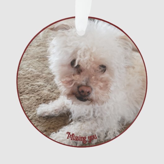 Rode Pawprint Gevulde Hart Vorm, Huisdier Citaat,  Ornament (voorkant)