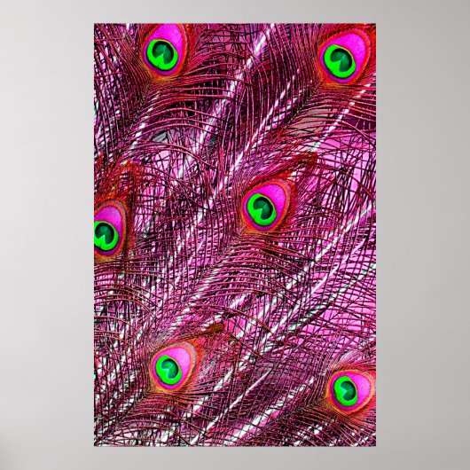 Rode pekelveren kleurenpluim poster (Voorkant)