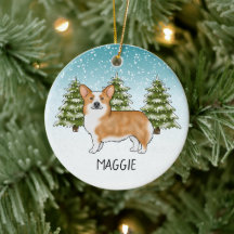 Rode Pembroke Welsh Corgi Winter Bos Kerstmis