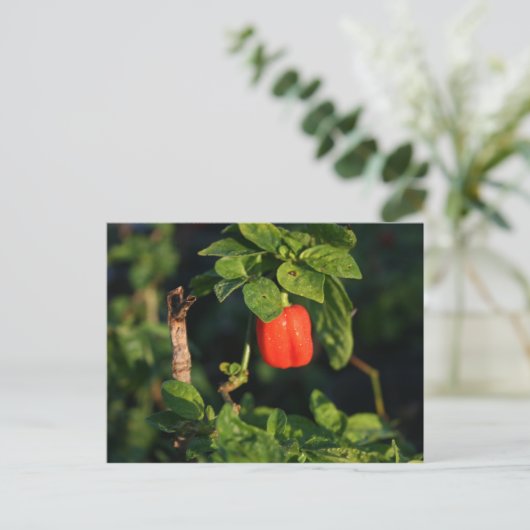 rode peper met hete peper tegen bladeren briefkaart (Staand voorkant)