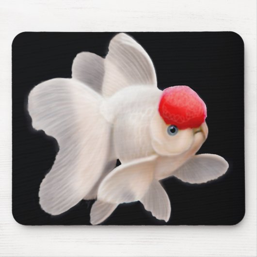 Rode Pet Oranda Goldfish Mousepad Muismat (Voorkant)