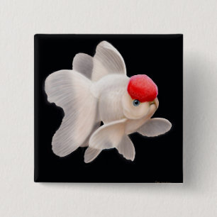 Rode Pet Oranda Goldfish Pin Vierkante Button 5,1 Cm