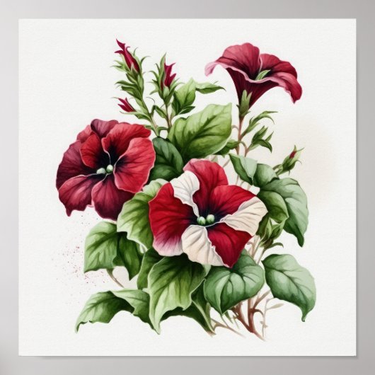 Rode Petunias Bloemen Art Print Poster (Voorkant)