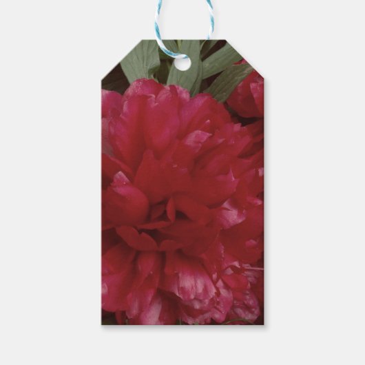 Rode Pioen Bloem Foto Gift Label Cadeaulabel (Voorkant)
