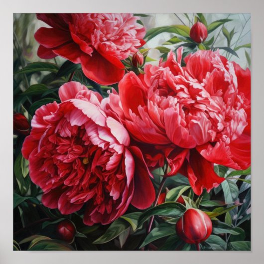 Rode Pioen Bloem Kunstprint Poster (Voorkant)