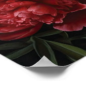 Rode Pioenrozen Bloemen Art Print Poster (Hoek)