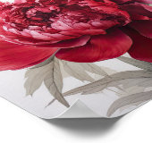 Rode Pioenrozen Bloemen Art Print Poster (Hoek)