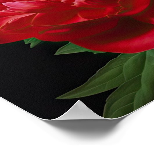 Rode Pioenrozen Bloemen Art Print Poster (Hoek)