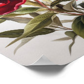 Rode Pioenrozen Bloemen Art Print Poster (Hoek)