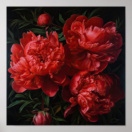 Rode Pioenrozen Bloemen Art Print Poster (Voorkant)