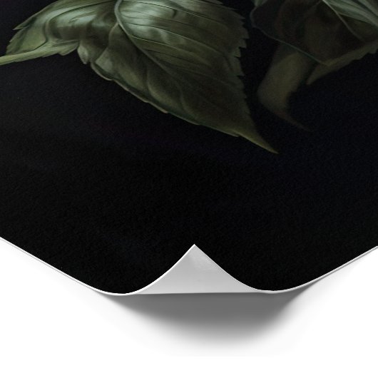 Rode Pioenrozen Bloemen Art Print Poster (Hoek)