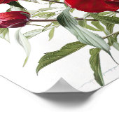 Rode Pioenrozen Bloemen Art Print Poster (Hoek)