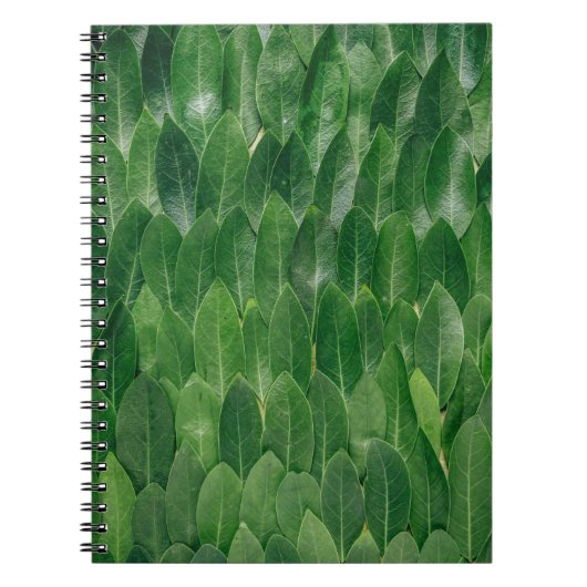 Rode plant bladeren notitieboek (Voorkant)