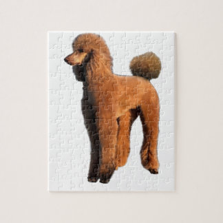 rode poedel legpuzzel
