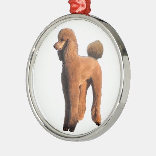 rode poedel metalen ornament (Links)