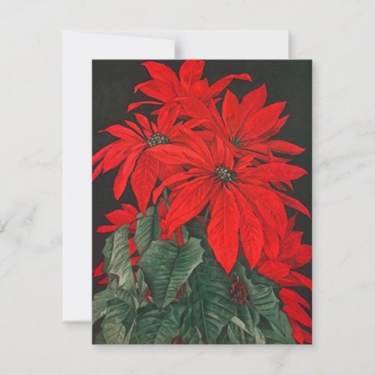 RODE POINSETTIA BOUQUET HOLIDAY PARTIJ INVITATIES KAART (Voorkant)