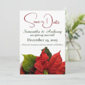 Rode poinsettia bruiloft save the date (Staand voorkant)