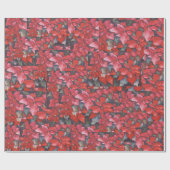 Rode Poinsettia Collage Cadeaupapier (Vlak)