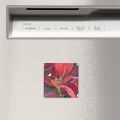 Rode Poinsettia - Magneet (Insitu (Vaatwasser))