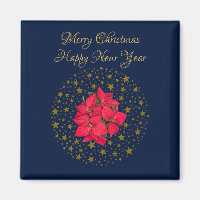 Rode Poinsettia Plant op glinsterende sterrenblauw