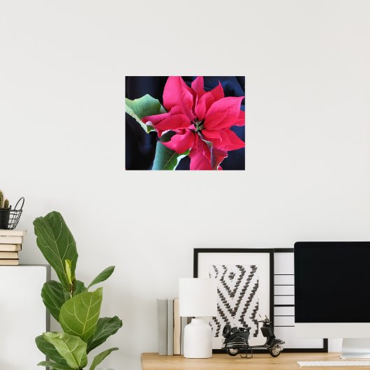 Rode Poinsettia Poster (Thuiskantoor)
