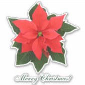 Rode Poinsettia Sticker (Voorkant)