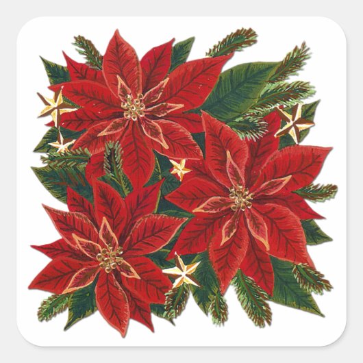 Rode Poinsettia Sticker (Voorkant)