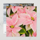 Rode poinsettia's feestdagenkaart (Voorkant / Achterkant)