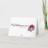 Rode Poinsettias I Christmas Kaart (Leeg binnen) (Achterkant)