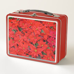 Rode Poinsettia's I Kerst Florale Foto